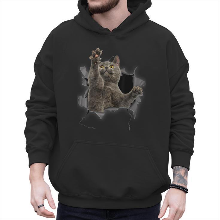 Grey Cat Torn Cloth Cat Dad Cat Mom Cat Lover Men Hoodie