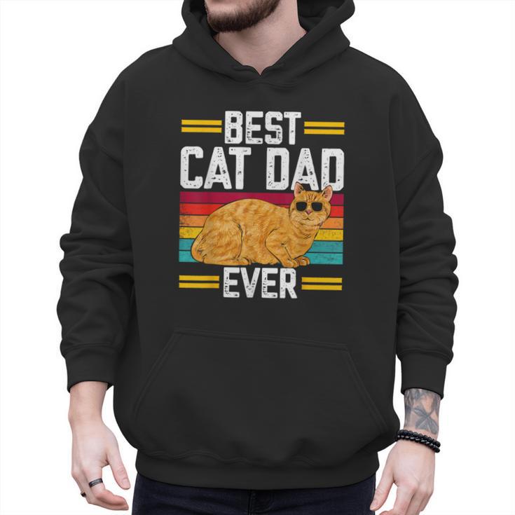 Orange Cat Best Cat Dad Ever Orange Tabby Cat Men Hoodie