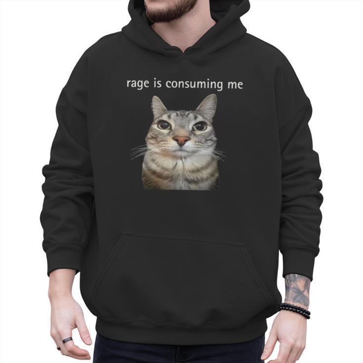Rage Is Consuming Me Silly Staring Cat Meme Dad Mom Men Hoodie