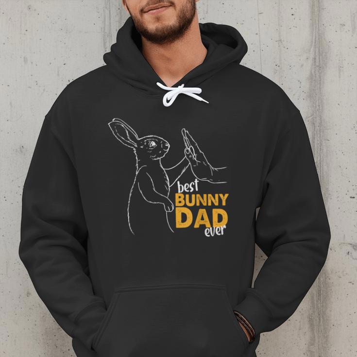 Best Bunny Dad Ever Rabbit Daddy Bunny Father Bunny Men Hoodie