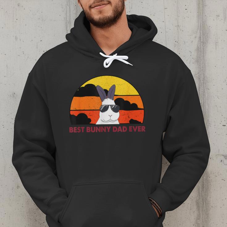 Best Bunny Dad Ever Rabbit Jumper Dad Men Hoodie