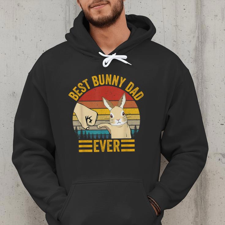 Best Bunny Dad Ever Rabbit Lover Father Pet Rabbit Men Hoodie
