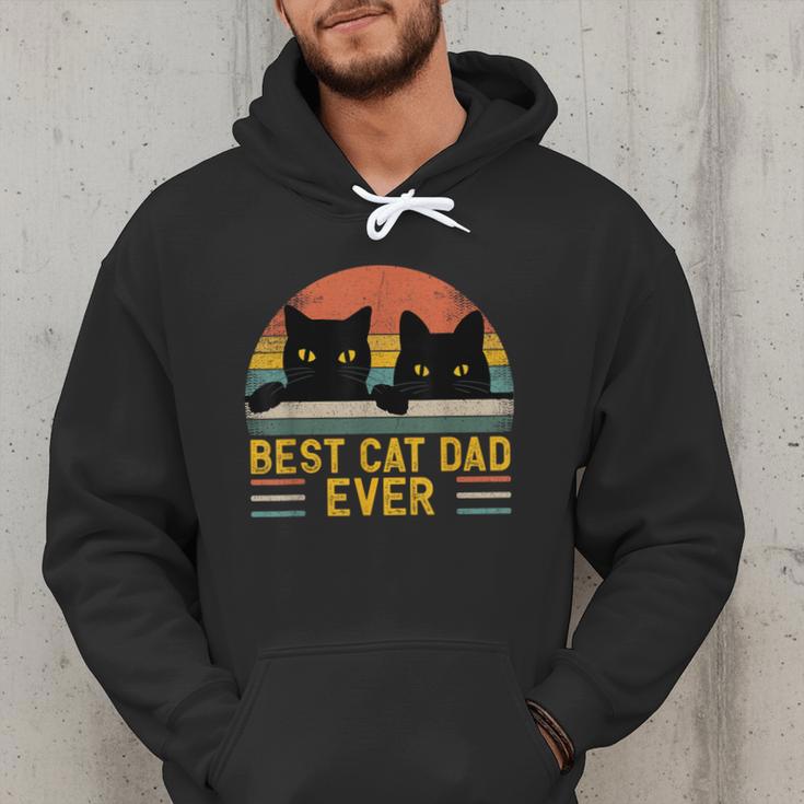 Best Cat Dad Ever Retro Style Cats Lover Men Hoodie