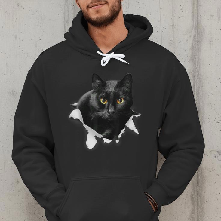 Cat Torn Cloth For Cat Lover Cat Dad Cat Mom Men Hoodie