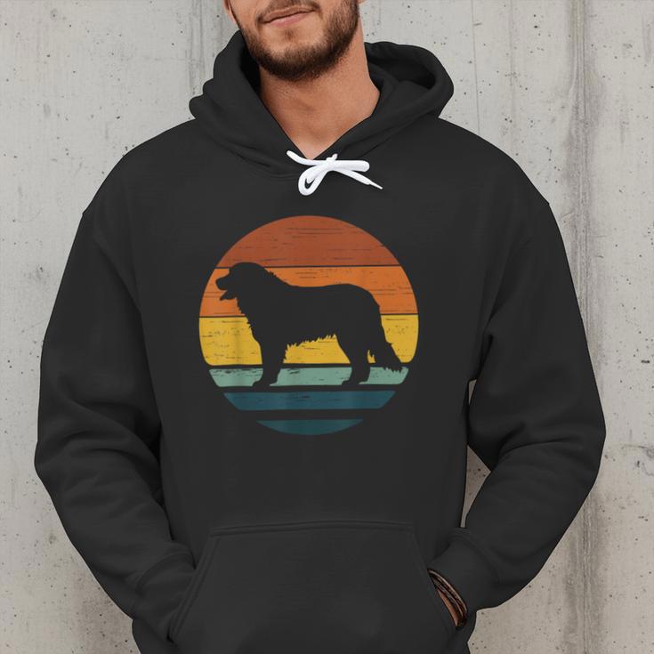 Golden Mountain Vintage Retro Mum Dad Dog Men Women Kids Men Hoodie