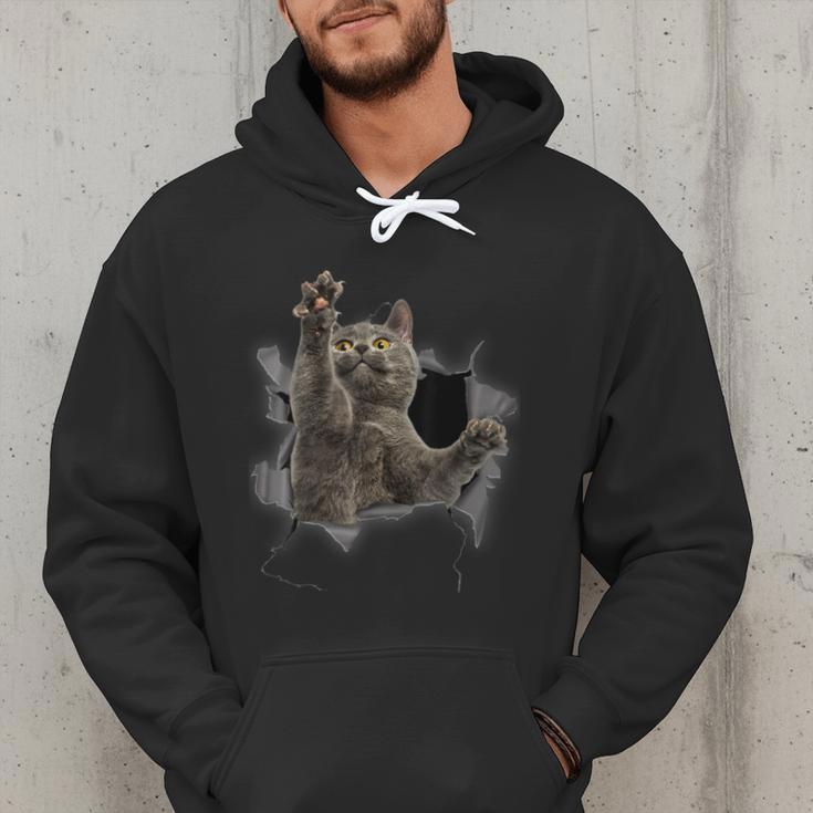 Grey Cat Torn Cloth Cat Dad Cat Mom Cat Lover Men Hoodie