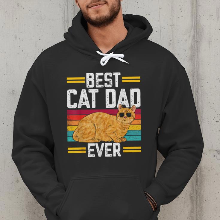 Orange Cat Best Cat Dad Ever Orange Tabby Cat Men Hoodie