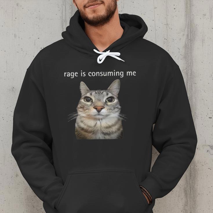 Rage Is Consuming Me Silly Staring Cat Meme Dad Mom Men Hoodie Rage Is Consuming Me Silly Staring Cat Meme Dad Mom Men Hoodie