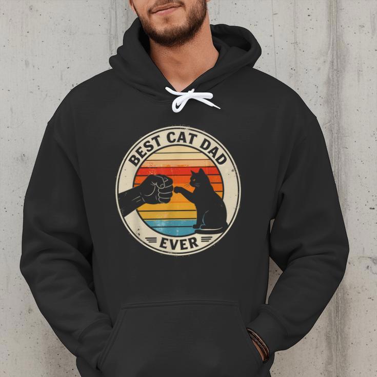 Retro Cat Dad Ever Cats Lovers For Men Women And Kids Men Hoodie