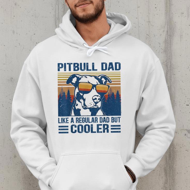 Vintage Pitbull Dad Like A Regular Dad But Cooler Men Hoodie