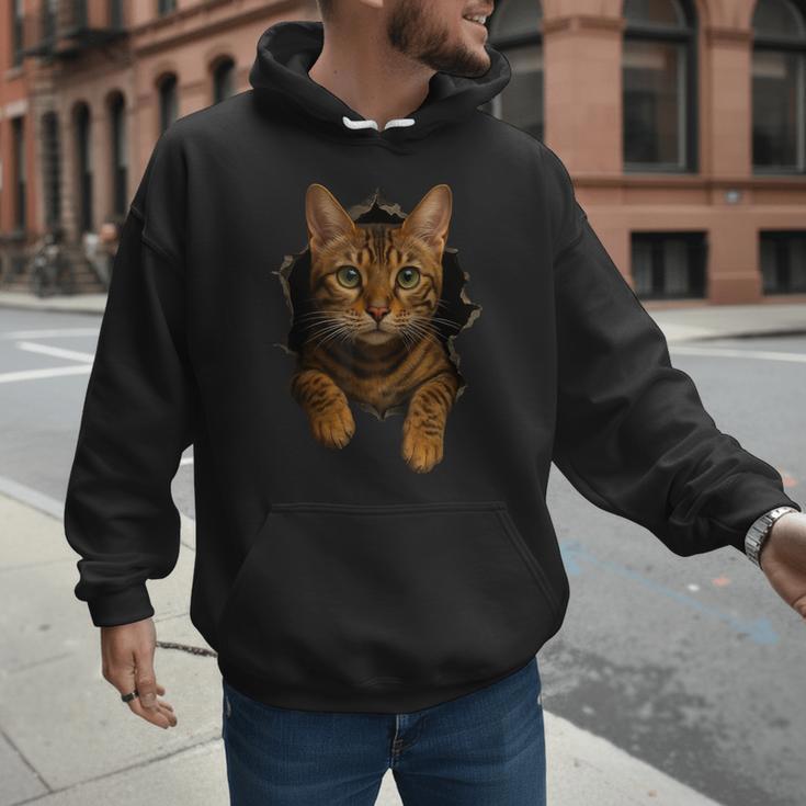 Bengal Cat Lover Animal Pet Bengal Cat Owner Mom Cat Dad Cat Men Women Kids Men Hoodie