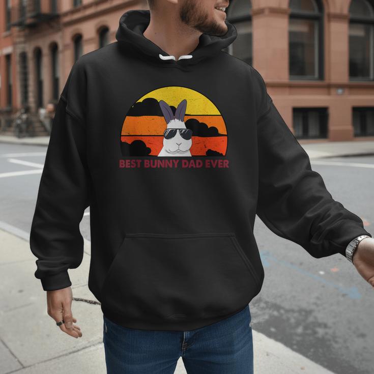 Best Bunny Dad Ever Rabbit Jumper Dad Men Hoodie
