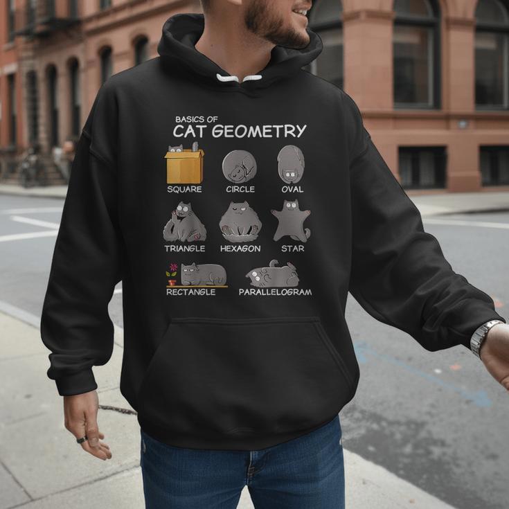 Cat Geometry Math Cat For Cat Dad Cat Mom Kids Men Hoodie
