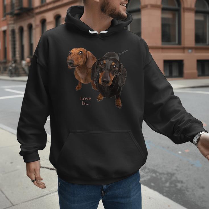Dachshund Shirt Doxie Mom Dad Love Wiener Dog Puppy Cute Tee Men Hoodie