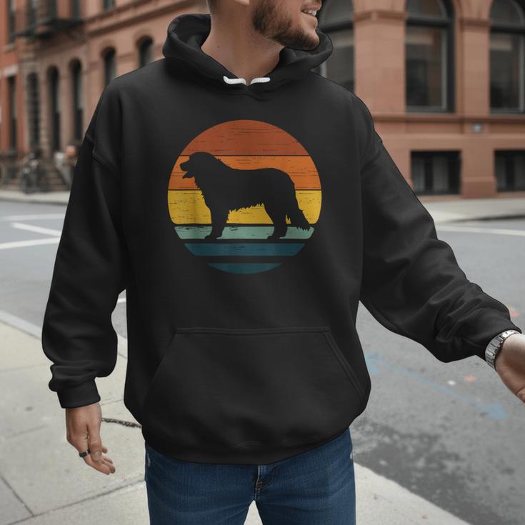 Golden Mountain Vintage Retro Mum Dad Dog Men Women Kids Men Hoodie