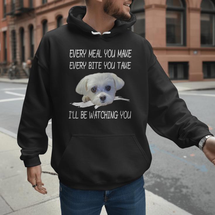 Maltese Dog Watching Owner Quote Puppy Mom Dad Men Women Girls Kids Men Hoodie
