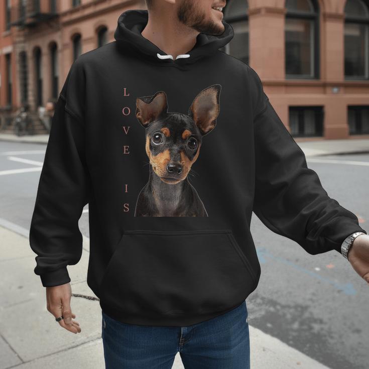 Miniature Pinscher Shirt Dog Mom Dad Tshirt Love Puppy Pet Men Hoodie