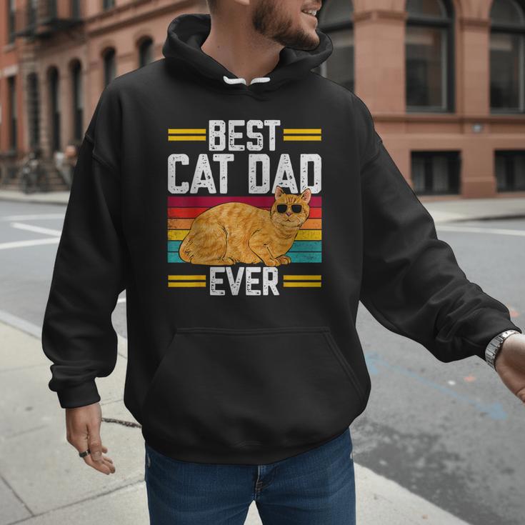 Orange Cat Best Cat Dad Ever Orange Tabby Cat Men Hoodie