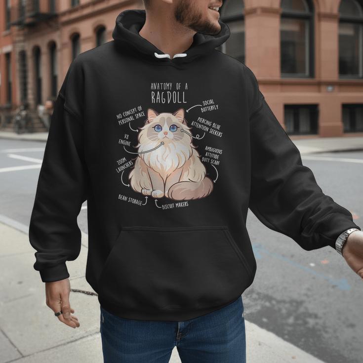 Ragdoll Cat Anatomy Cute Pet Mom Dad Cream Bicolor Men Hoodie