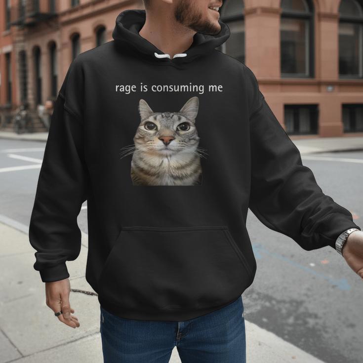 Rage Is Consuming Me Silly Staring Cat Meme Dad Mom Men Hoodie Rage Is Consuming Me Silly Staring Cat Meme Dad Mom Men Hoodie