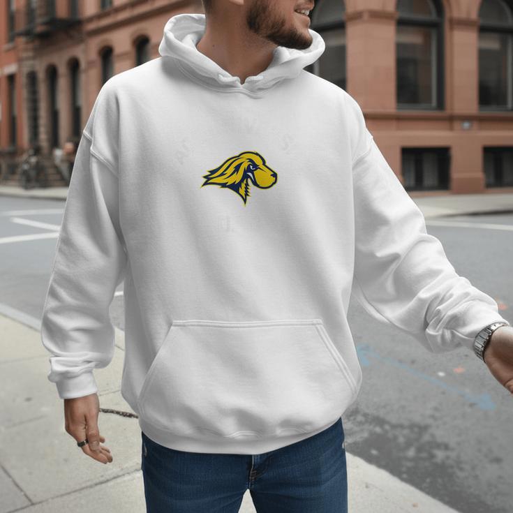 Pace University Setters Arched Dad Men Hoodie
