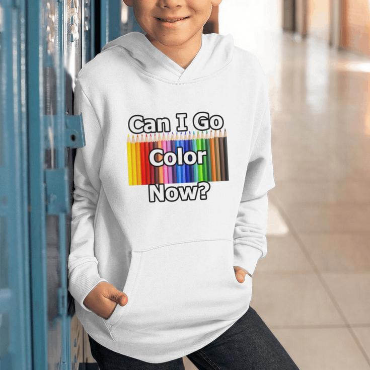 Adult Coloring Book Can I Go Color Now Women Men Adults Premium Tri-Blend Graphic Youth Hoodie