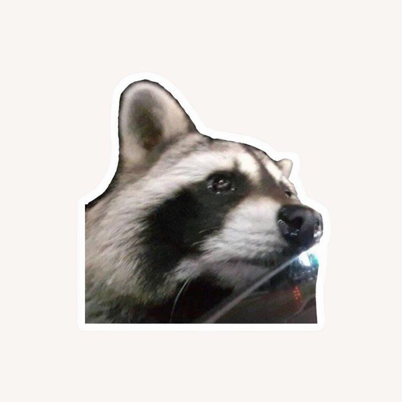 Cute Sad Raccoon Meme Sticker - Raccsy
