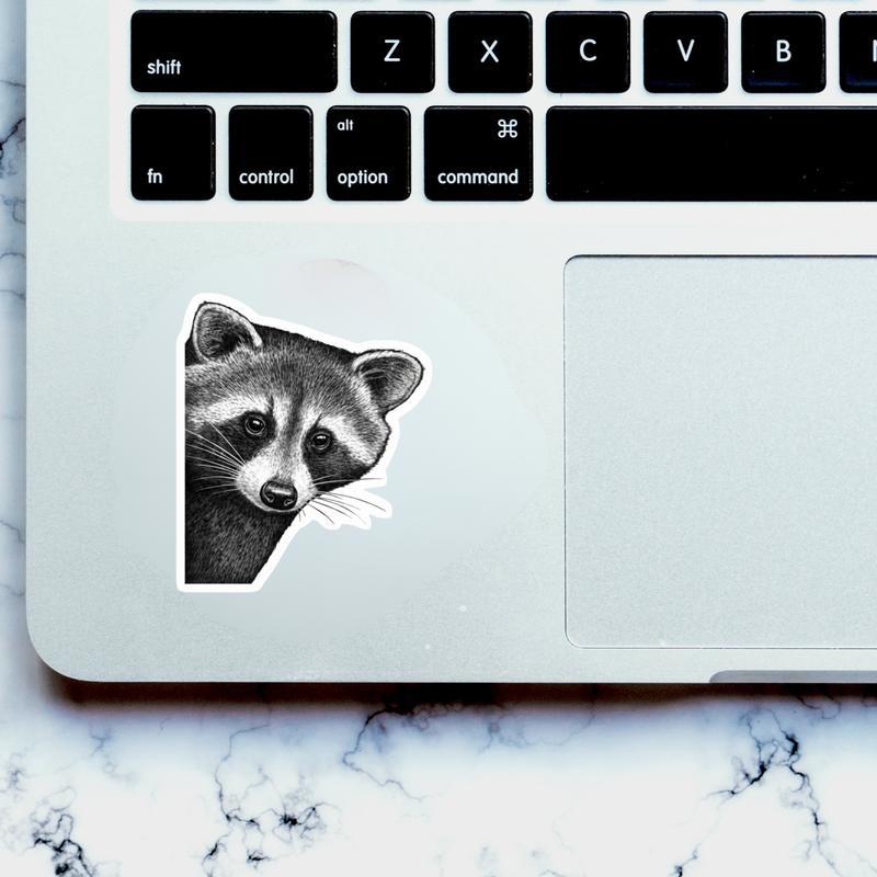 Raccoon Peeker Sticker
