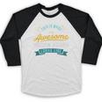 Window Washer Shirt Awesome Job Occupation Graduation Baseball Raglan Shirt