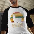 Test Day No Probllama Silhouette Teacher Student Graduation Baseball Raglan Shirt