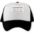 I Graduated Now I'm Like Smart & Stuff Tee Graduation Shirts Trucker Cap