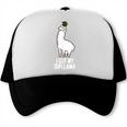 LLama Graduation I Got My Dipllama Cute Llama Trucker Cap