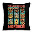 DCC Many Faces Of Mordecai Grid Gamer Series Book Pillowcase