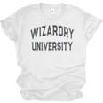 Silly Don'T Call Me WIZARDRY UNIVERSITY Introvert Sarcastic Unisex Jersey T-Shirt