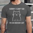 Sorry I Can’t Go I’m An Indoor Cat Introvert Lover Unisex Jersey T-Shirt