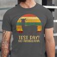 Test Day No Probllama Silhouette Teacher Student Graduation Unisex Jersey T-Shirt