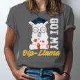 Senior Graduation TShirt 2019 Got My Dip-Llama Diploma Shirt Unisex Jersey T-Shirt