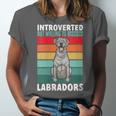 Silver Labrador Retriever Introvert Silver Lab Unisex Jersey T-Shirt