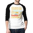 Best Siamese Cat Dad Ever Retro Vintage Sunset Men Baseball Raglan Shirt