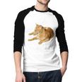 Tabby Daddy Cat Lover Saying Graphic Men Baseball Raglan Shirt