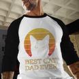 Best Cat Dad Ever Vintage Cat Daddy Fathers Day Men Baseball Raglan Shirt