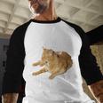 Tabby Daddy Cat Lover Saying Graphic Men Baseball Raglan Shirt