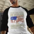 I Have Two Titles Veteran And Grumpy Dad Papa Grandpa Men Baseball Raglan Shirt
