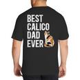 Best Calico Cat Dad Ever Calico Cat Lover Calico Cat Owner Big And Tall Men's T-Shirt Back Print
