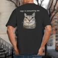 Rage Is Consuming Me Silly Staring Cat Meme Dad Mom Big And Tall Men's T-Shirt Back Print