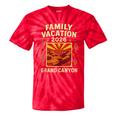 Family Vacation Grand Canyon 2026 Nostalgia Tie-Dye T-Shirts Red Tie-Dye