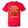 Family Vacation Grand Canyon 2026 Nostalgia Tie-Dye T-Shirts Red Tie-Dye
