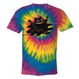 Yk2 Grunge Scary Cat With Tail Tomboy 90s Nostalgia Indie Premium Tri-Blend Tie-Dye T-Shirts Rainbow Tie-Dye