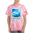 Frutiger Aero Skeuomorphism User Interface Nostalgia Premium Tri-Blend Tie-Dye T-Shirts Coral Tie-Dye