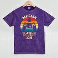 Bar Exam Level Complete 2025 Lawyer Law School Graduation Mineral Wash Tshirts Mineral Purple